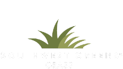 Synthetic Grass by Southwest Greens of Tucson
