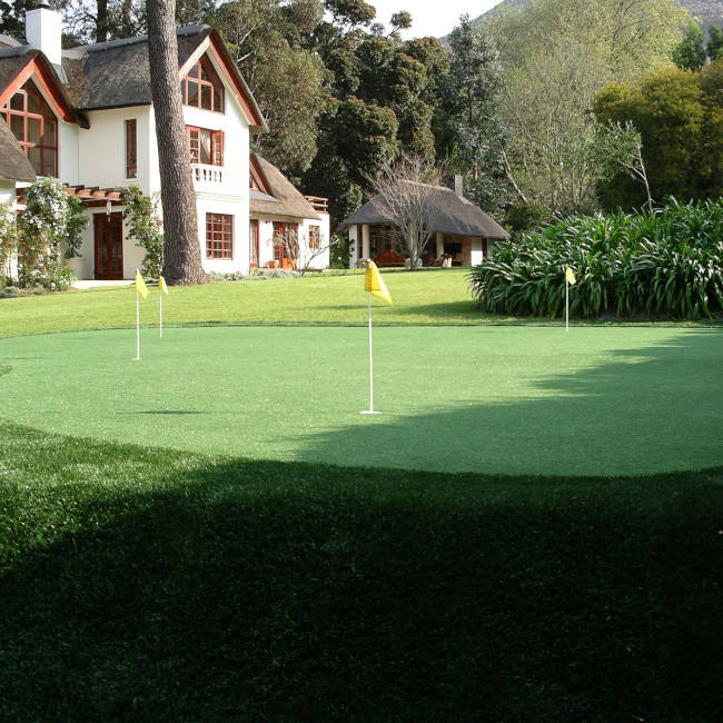Tucson Backyard Putting Green