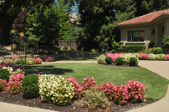 Tucson Artificial Turf Lansdscaping