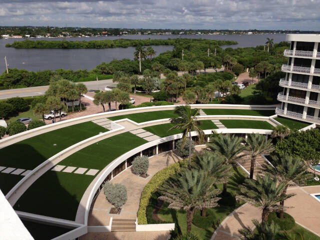 Tucson commercial landscape turf