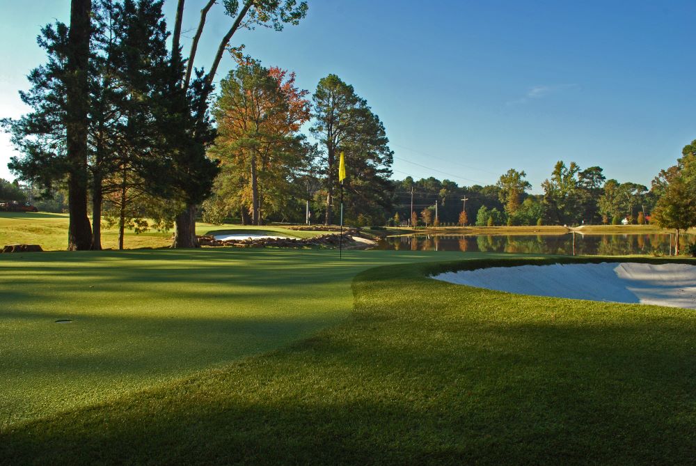 Tucson Artificial Turf Golf Course