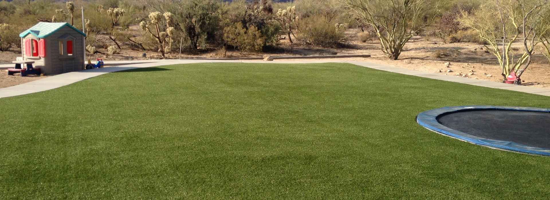 Lawn With Trampoline