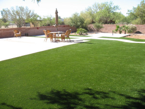 SWG80 blend lawn