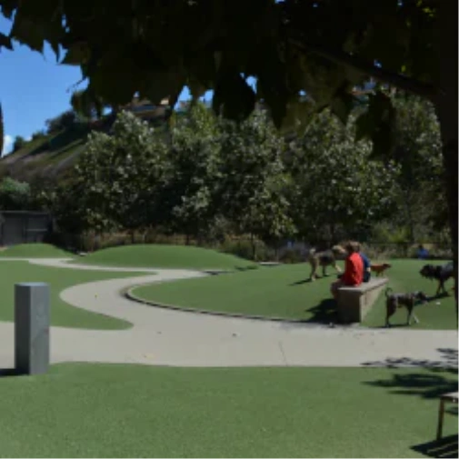What to Understand Before You Spec a Dog Park Surface in Tucson