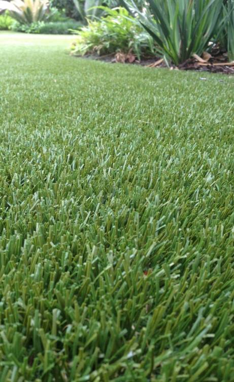 Tucson artificial grass