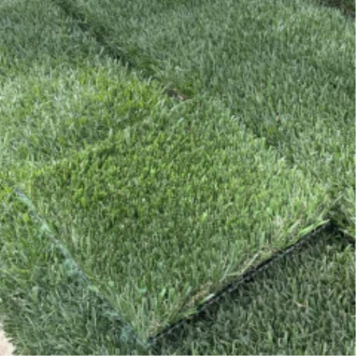 Introducing Wide Blade Turf in Tucson