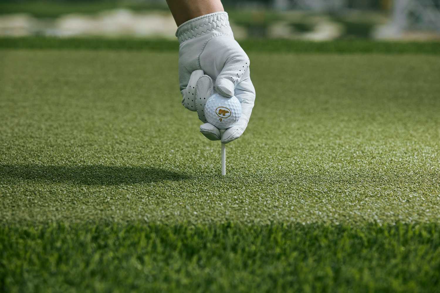 Tucson driving range
