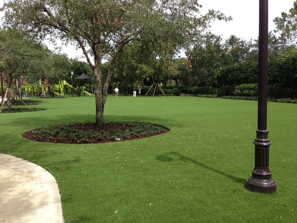 Tucson commercial artificial grass landscaping