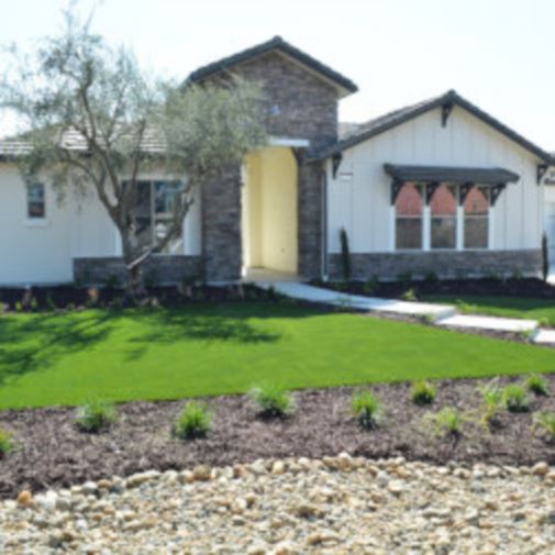 Artificial Lawn Maintenance Tips in Tucson