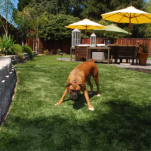 Ways fake grass for dogs Completely Changes Your Tucson Outdoor Space