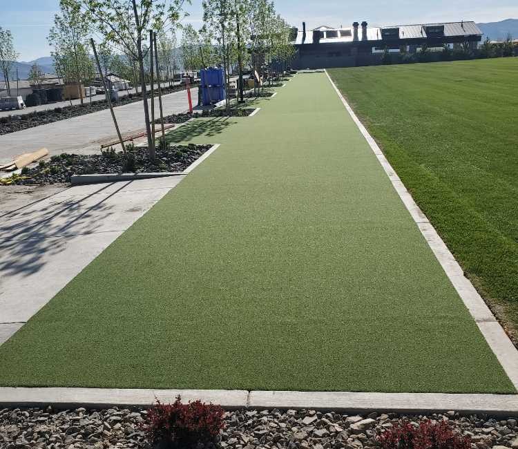 Tucson tee line