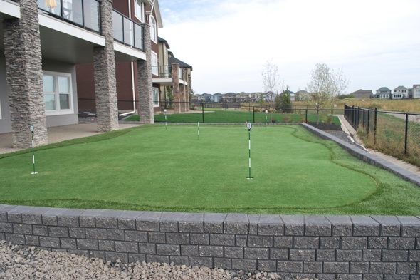 Tucson residential backyard putting green grass near modern home with golf flags