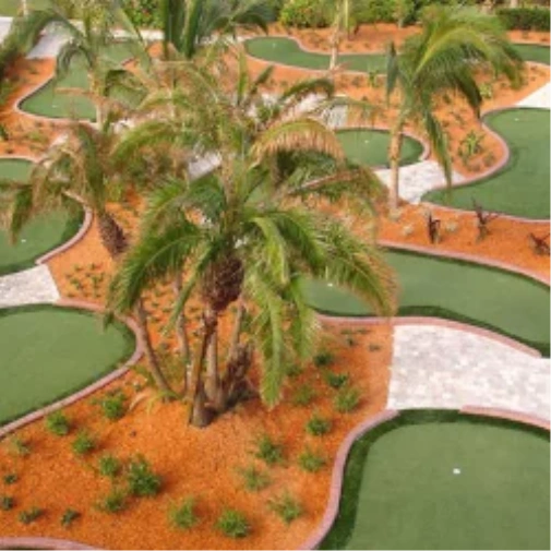 Top Mini Golf Courses in Tucson