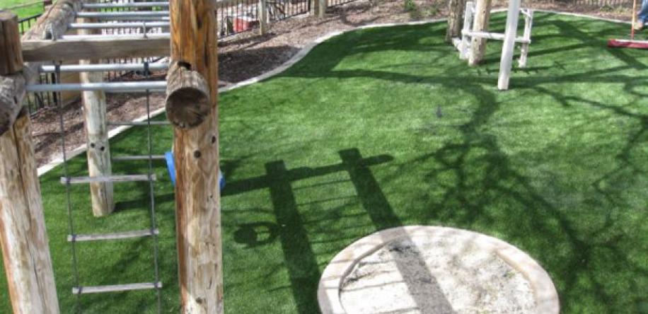 southwestgreens_petturf_04